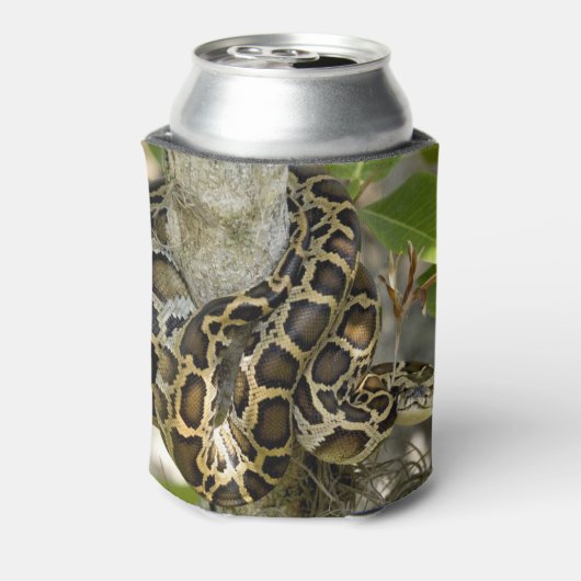Burmese Python Dosenkühler (Kanne Rückseite)