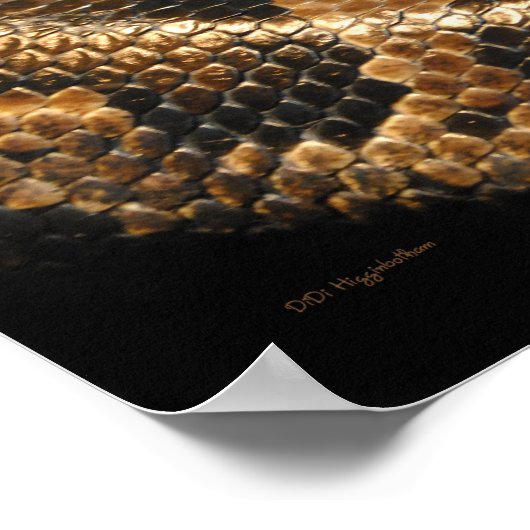 Burmese Python Poster (Ecke)