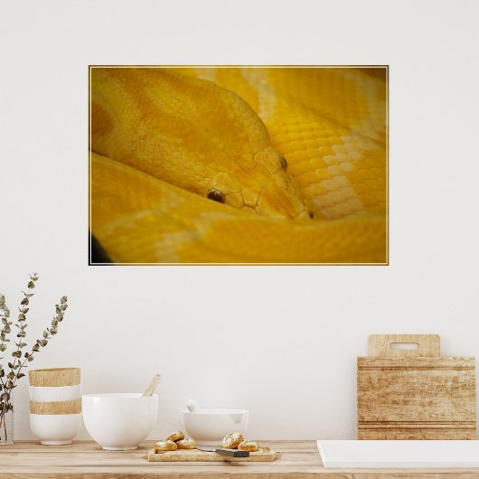 Burmese Python Poster (Küche)