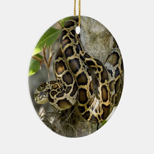 Burmese Python Schlange in einem Baum Keramik Ornament (Rechts)