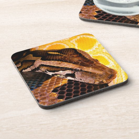 Burmese Python Snake Getränkeuntersetzer (Linke Seite)