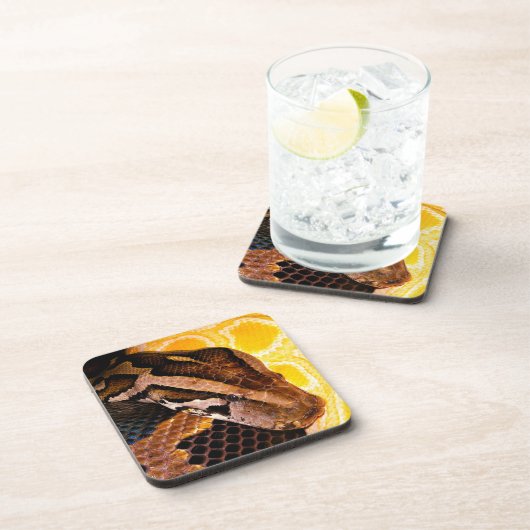 Burmese Python Snake Getränkeuntersetzer (Rechte Seite)