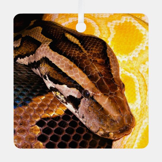 Burmese Python Snake Ornament Aus Metall (Vorderseite)