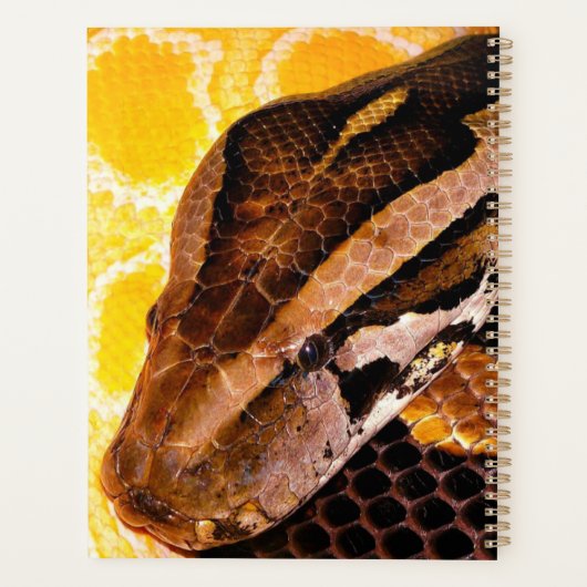 Burmese Python Snake Planer (Rückseite)
