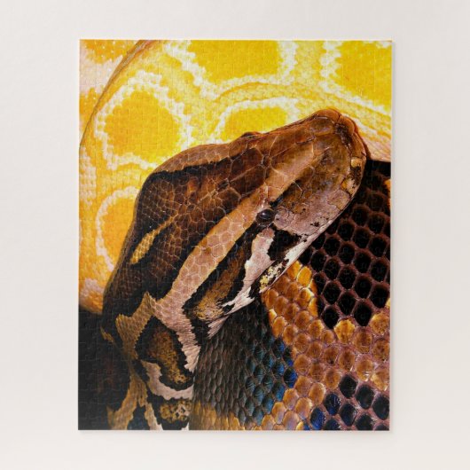 Burmese Python Snake Puzzle (Vertikal)
