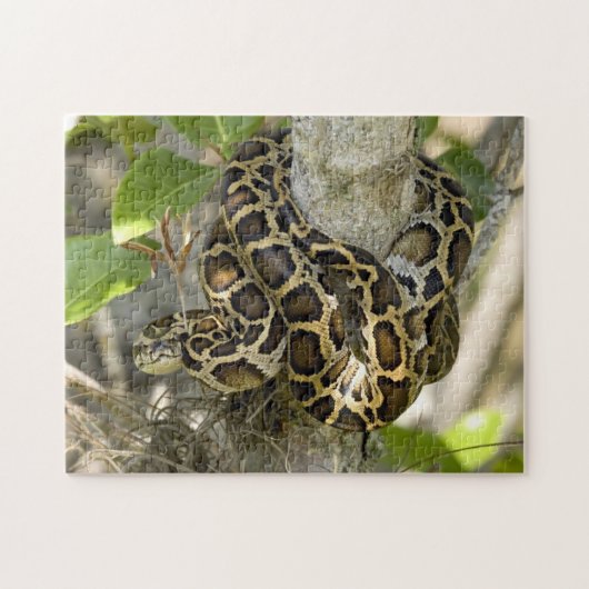 Burmese Python Snake Puzzle (Horizontal)