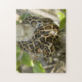 Burmese Python Snake Puzzle (Vertikal)