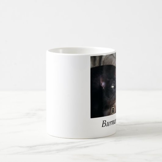 BurmeseDuo_18, birmanische Katzen-Duo Kaffeetasse (Mittel)