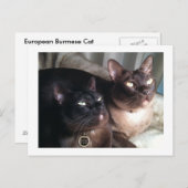 BurmeseDuo_18 Postkarte (Vorne/Hinten)