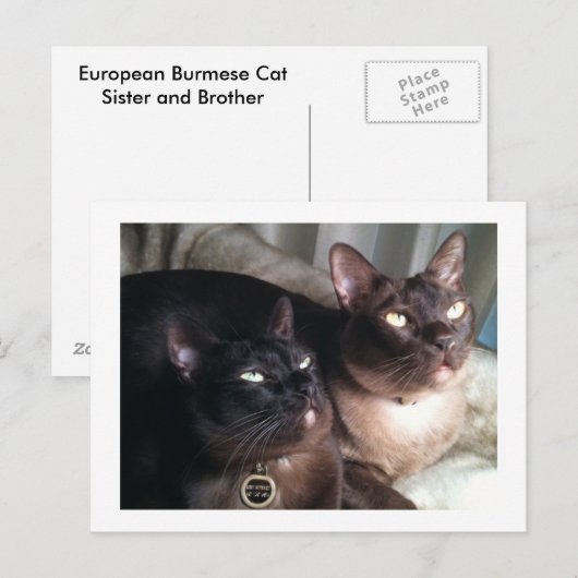 BurmeseDuo_18 Postkarte (Vorne/Hinten)