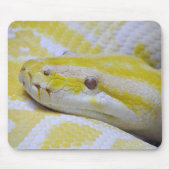 burmesische Python Mousepad (Vorne)
