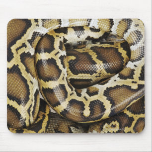 burmesische Python Mousepad