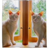 Burmische Katzen Kate und Bobby Katzenduschvorhang Duschvorhang (Vorderseite)