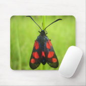 Burnet Moth Mouse Mat mit 5 Spot Mousepad (Mit Mouse)