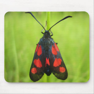 Burnet Moth Mouse Mat mit 5 Spot Mousepad