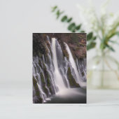 Burney sinkt in Farbe Postkarte (Stehend Vorderseite)