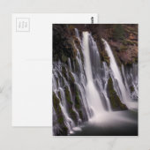 Burney sinkt in Farbe Postkarte (Vorne/Hinten)