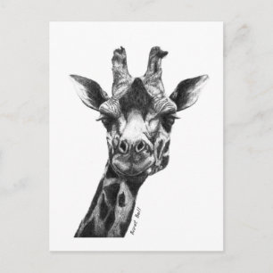 Burney the Giraffe Postkarte