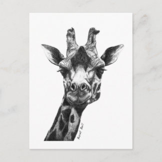 Burney the Giraffe Postkarte