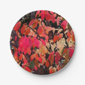 Burning Bush Abstrakt Paper Teller (Vorderseite)