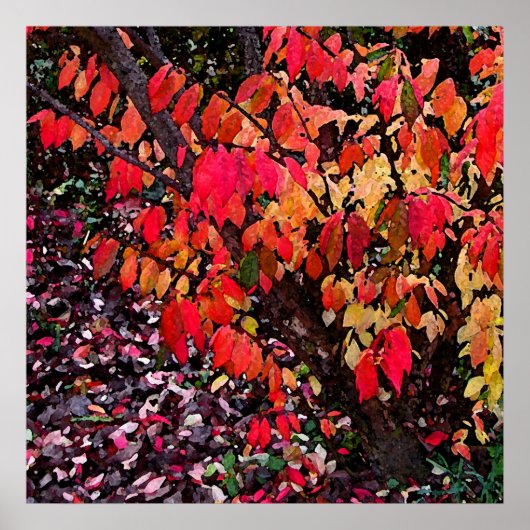 Burning Bush Abstrakt Poster (Vorne)