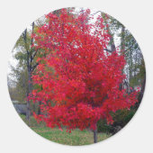 Burning Bush Sticker (Vorderseite)