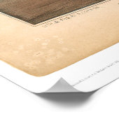 Burning of the clipper ship "Golden Light" (0143A) Poster (Ecke)