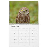 Burning Owl 2026 Kalender (Jan 2026)