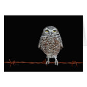 Burning Owl Card (Vorderseite (Horizontal))