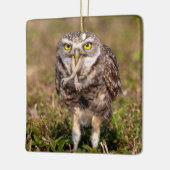 Burning Owl Keramik Ornament (Links)