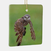 Burning Owl Keramik Ornament (Rechts)