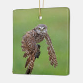 Burning Owl Keramik Ornament (Links)