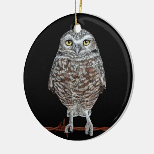 Burning Owl Ornament (Links)