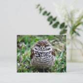 Burning Owl. Postkarte (Stehend Vorderseite)