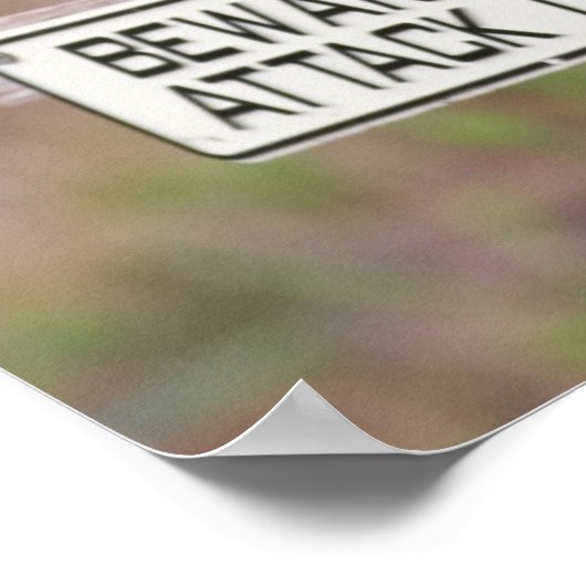 Burning Owls 05-09 011 Poster (Ecke)