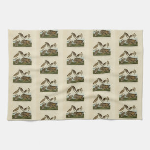 Burning Owls - von Audubons Vögeln in Amerika Geschirrtuch