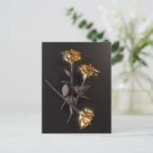 Burning Roses – Golden Elegance Postkarte (Stehend Vorderseite)