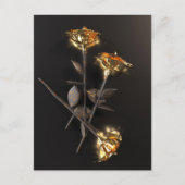 Burning Roses – Golden Elegance Postkarte (Vorderseite)