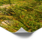 Burnt Island Lighthouse-Maine Poster (Ecke)