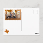 Burnt Orange Hey Y'all - nach Texas gezogen Postkarte (Rückseite)
