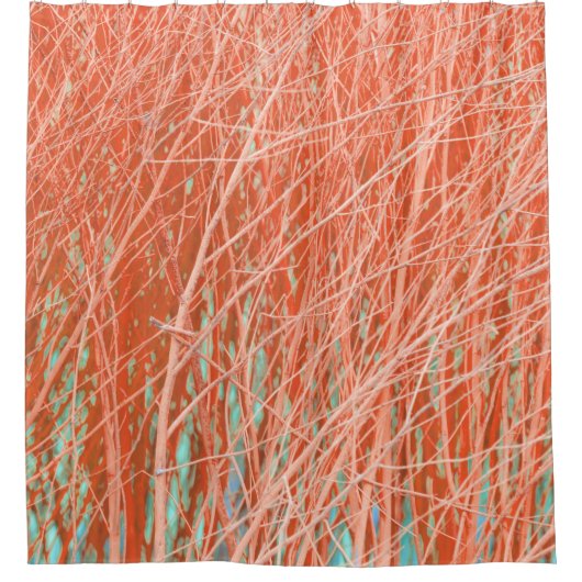 Burnt Orange Modernes Foto Zeitgenössisch Abstrakt Duschvorhang (Vorderseite)