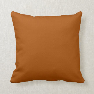 Burnt Orange Pillow Kissen