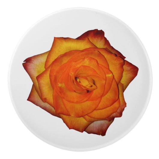 Burnt Orange Rose Keramikknauf (Vorderseite)