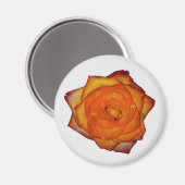 Burnt Orange Rose Magnet (Vorderseite/Rückseite)