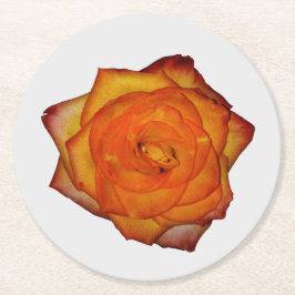 Burnt Orange Rose Paper Untersetzer