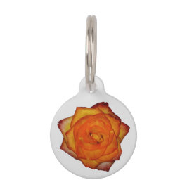 Burnt Orange Rose Pet Tag Haustiermarke