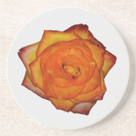 Burnt Orange Rose Sandstone Untersetzer
