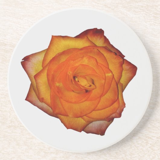 Burnt Orange Rose Sandstone Untersetzer (Vorne)
