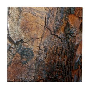 BURNT SEQUOIA TREE BARK DETAIL FLIESE