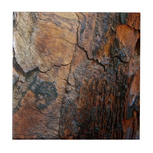 BURNT SEQUOIA TREE BARK DETAIL FLIESE (Vorderseite)